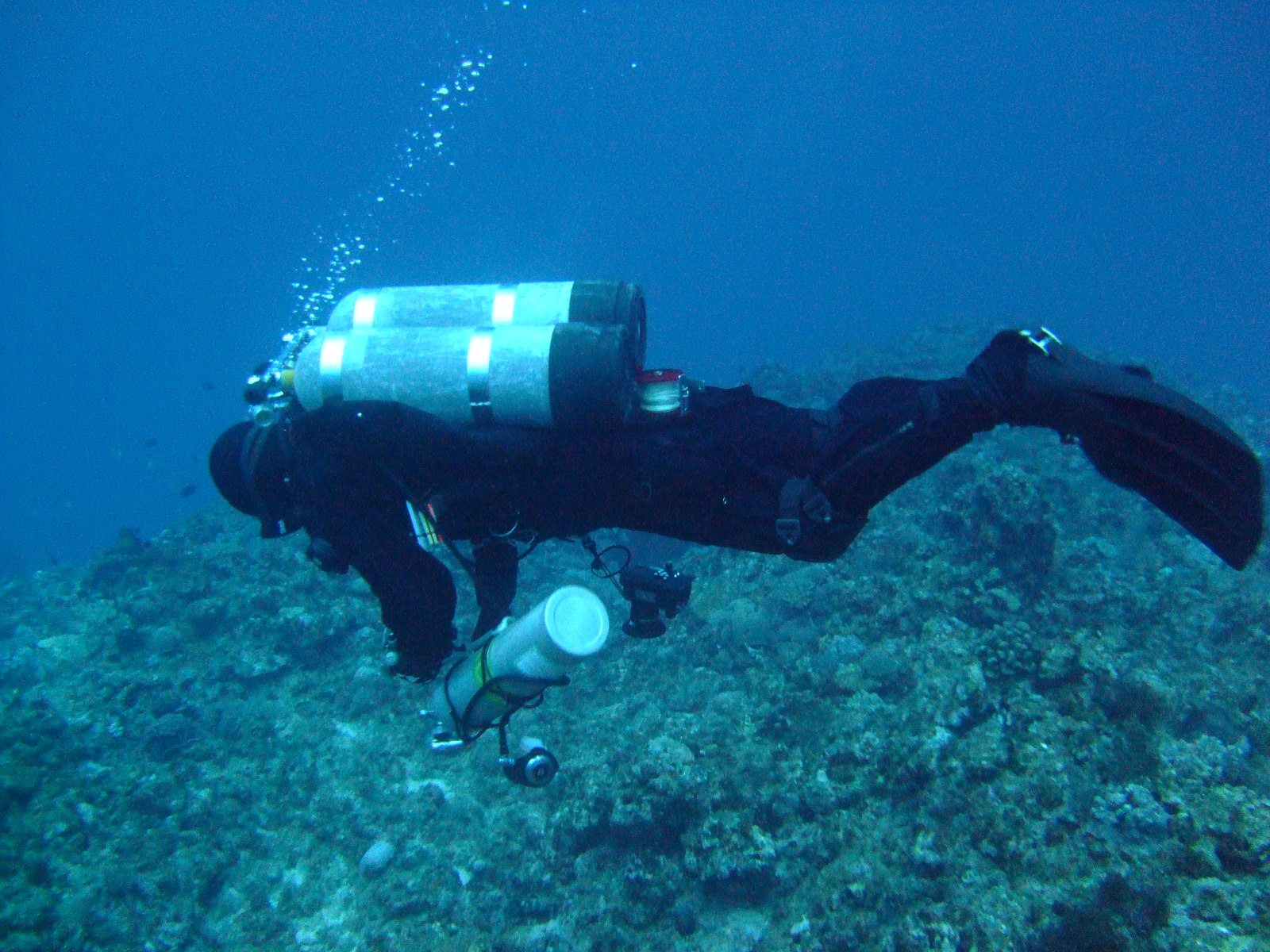 http://www.kume-diving.com/blog/2009/03/02/111.jpg