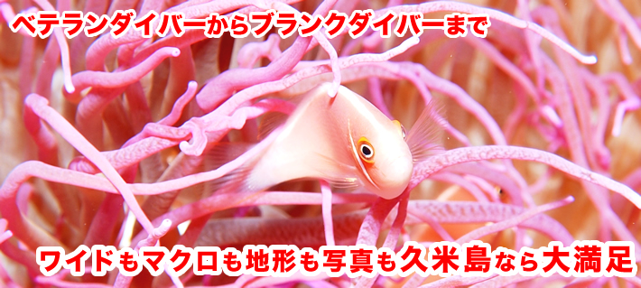 沖縄・久米島でのダイビング